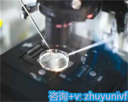 国内有代怀生子吗,2026年深圳第三代试管婴儿费用解析：费用与流程全公开！
