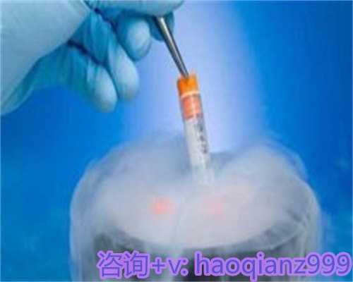 深圳代怀咨询,深圳试管婴儿费用一览：2026年新试管婴儿价目表解读